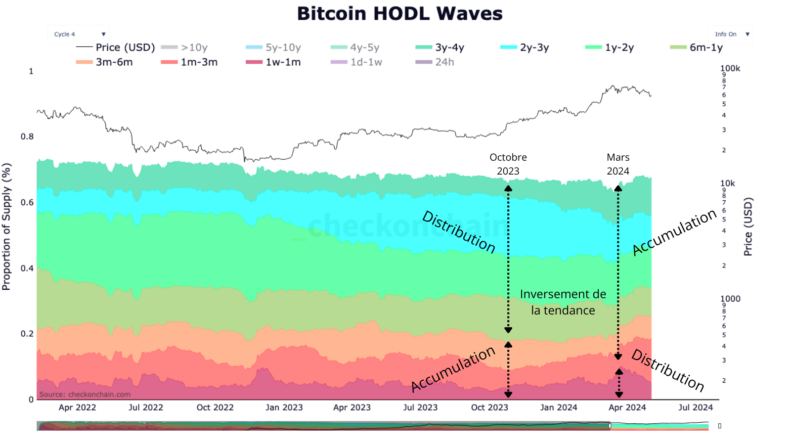 On observe un changement de tendance entre les investisseurs long-terme qui recommencent à accumuler contre les investisseurs à court-terme qui se mettent à perdre des parts de la supply.