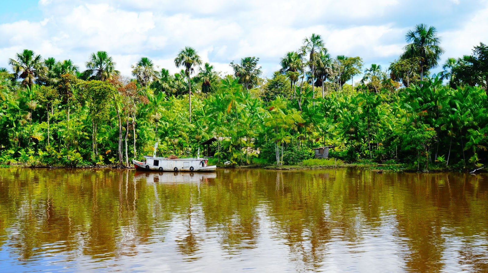 Jangada no Rio Amazonas. Águas esverdeadas, refletindo a vegetação que o cerca
