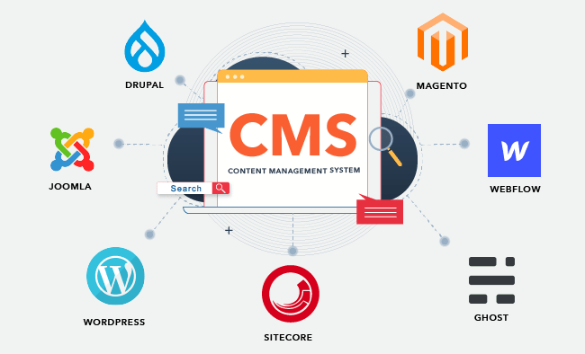 What Is a CMS and Why Should You Care?