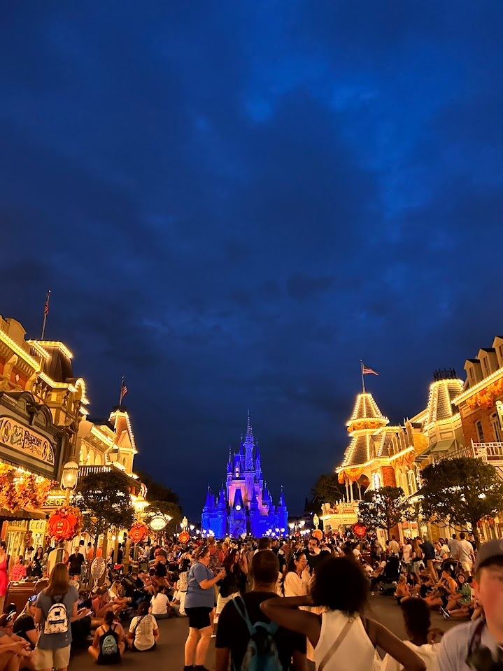 A photo of Disney World: Magic Kingdom taken this year.