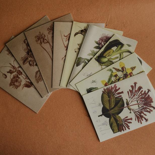 A group of cards with flowers on them

Description automatically generated