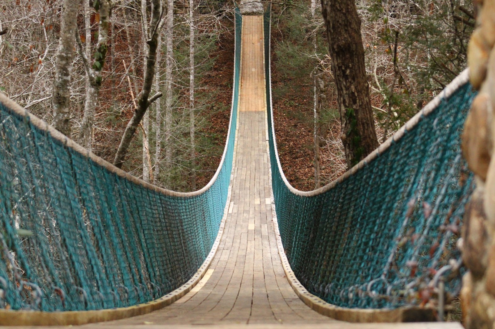 Foxfire Mountain TN: Explore these 6 Thrilling Adventures!