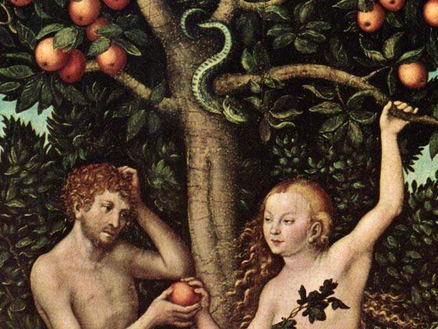 http://www.godandscience.org/images/adam_and_eve.jpg