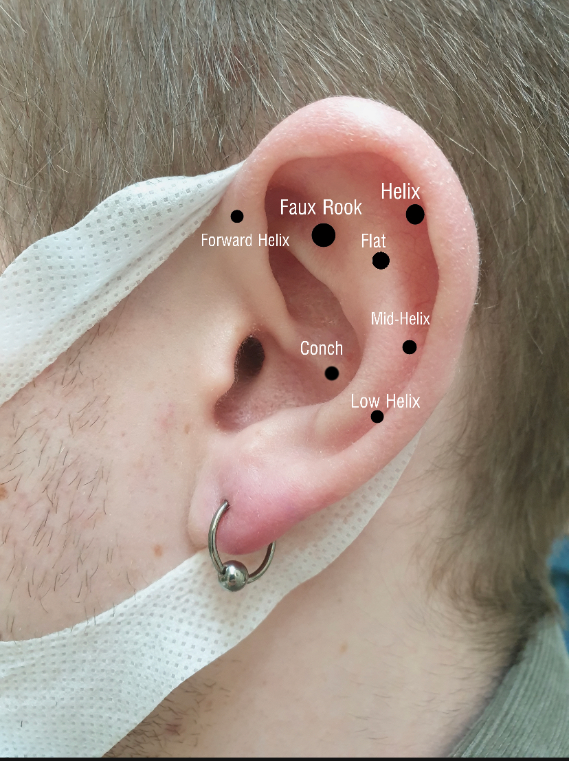 Chart showing the various positions of ear piercing