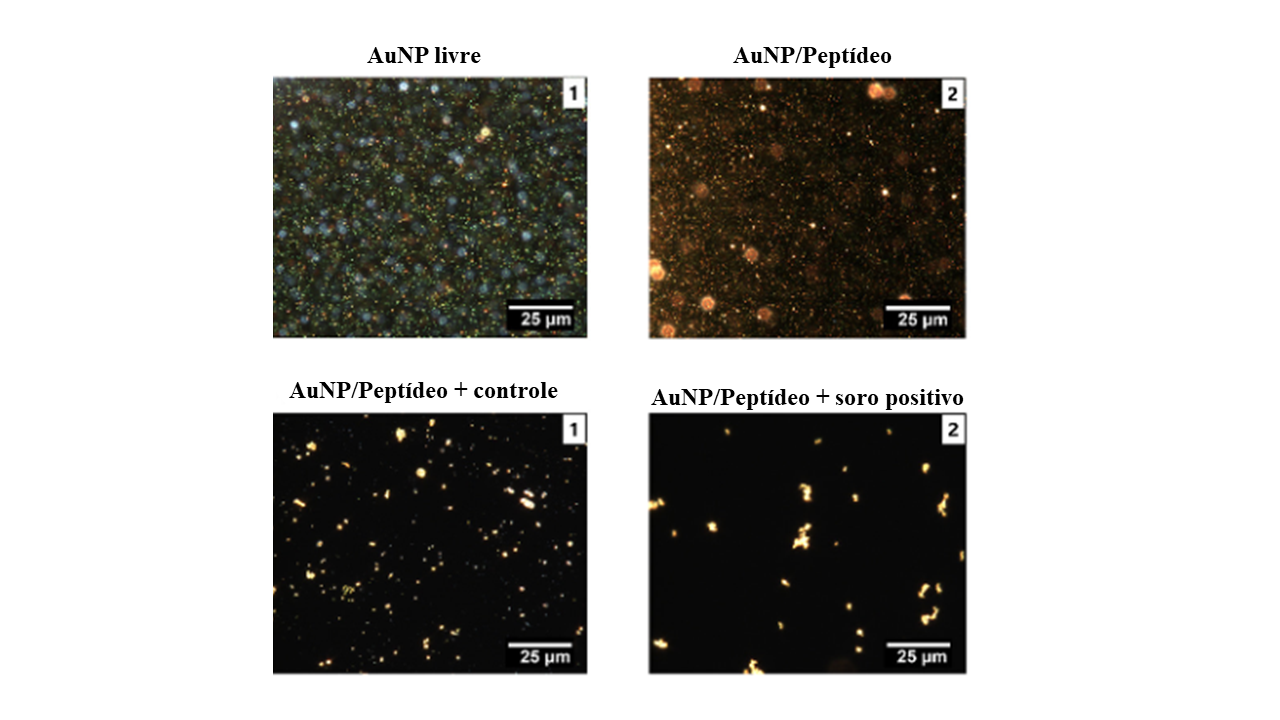 Imagens hiperespectrais de microscopia de campo escuro aprimoradas de AuNPs
