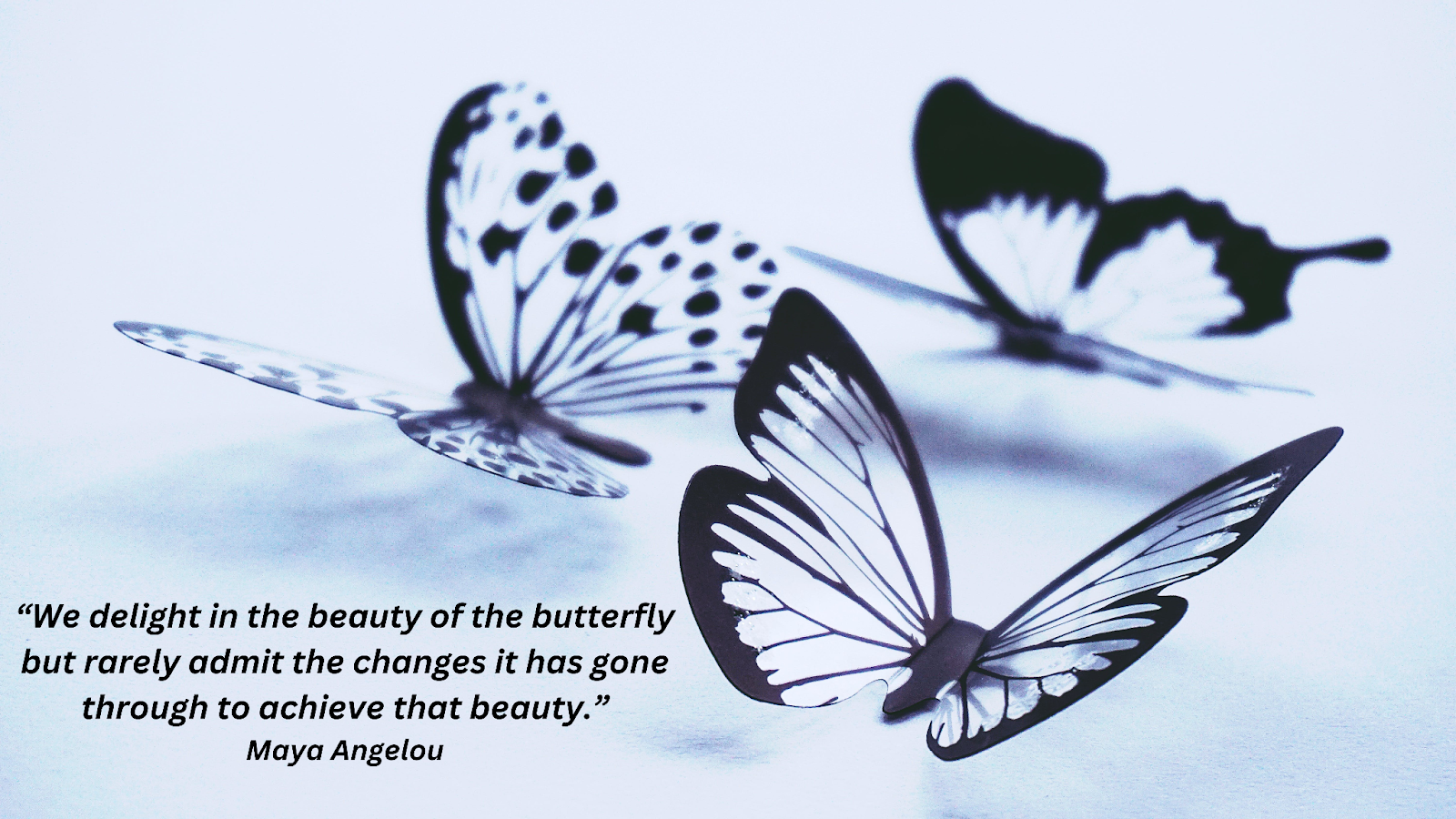Butterfly Quotes for Instagram