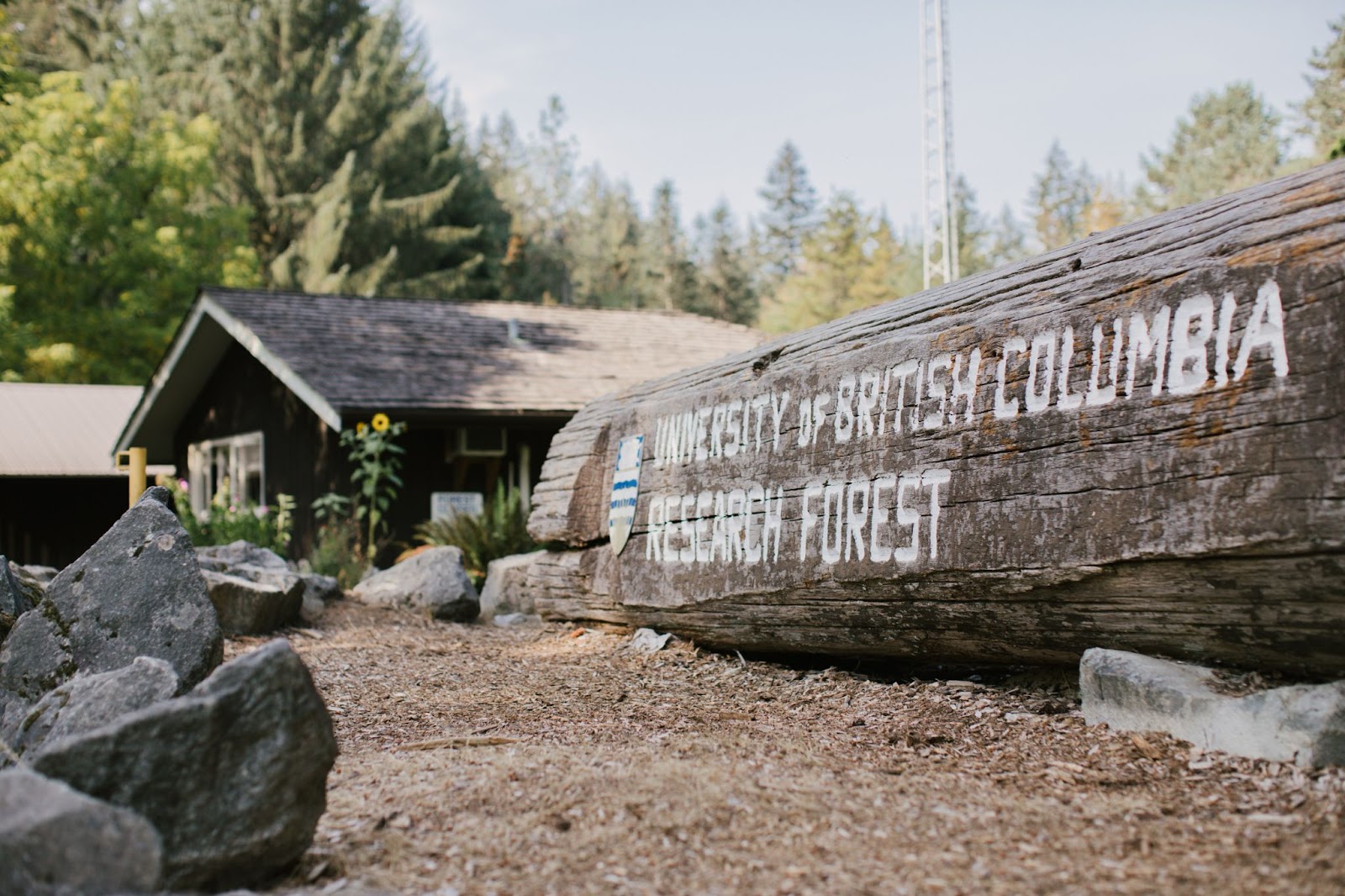 an old tree stump with the University of British Columbia Research Forest painted onto it as a sign