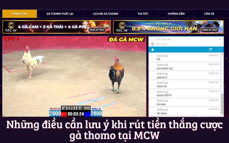 Những điều cần lưu ý khi rút tiền thắng cược gà thomo tại MCW