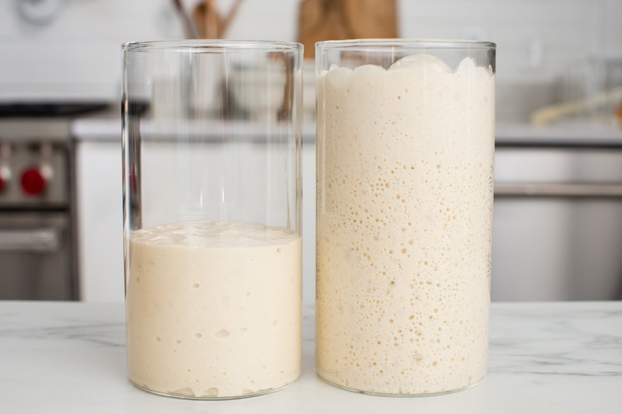 Top 10 Sourdough Starter Tips - starter doubled in size next to small sourdough starter