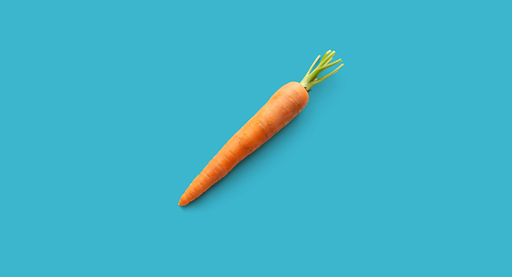 a carrot on flat background