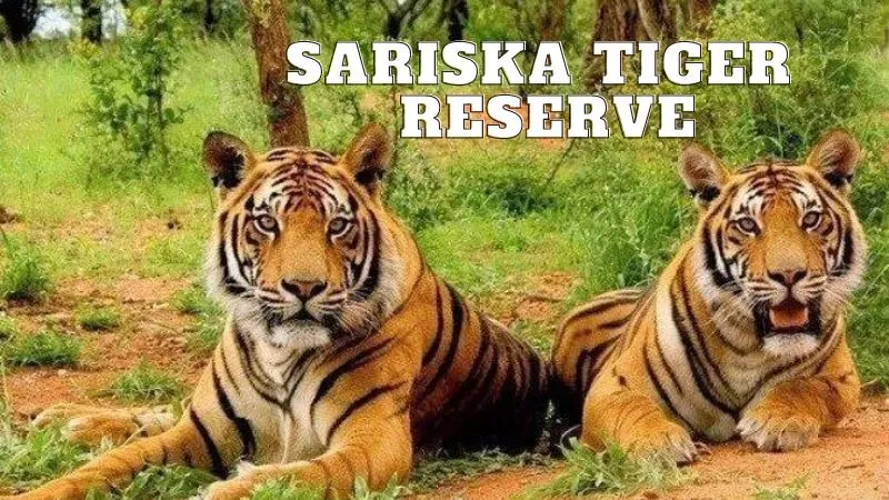 Sariska Tiger Reserve