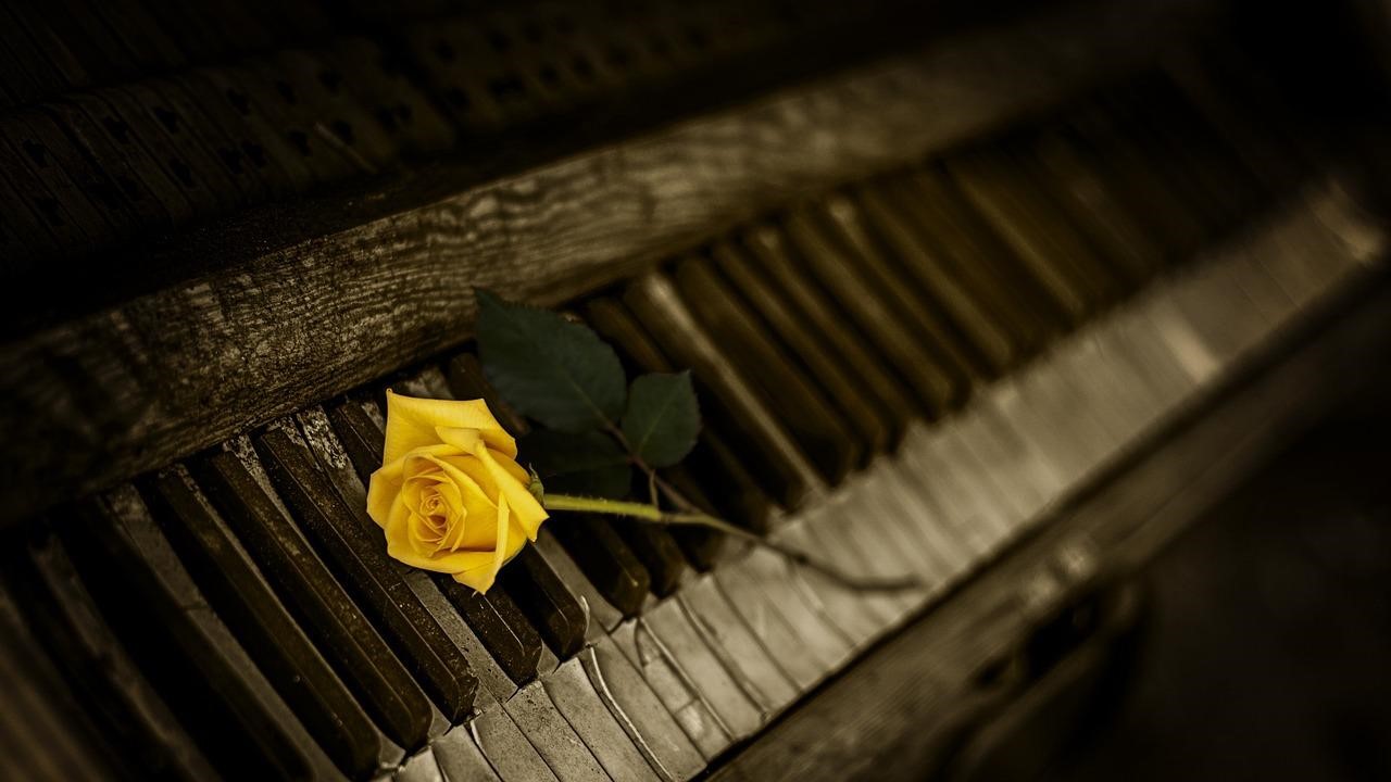 Free Piano Rose photo and picture