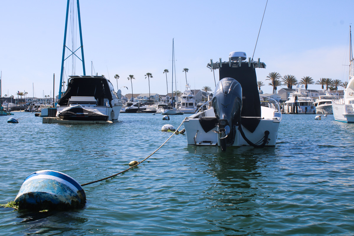 yachts for rent in newport beach