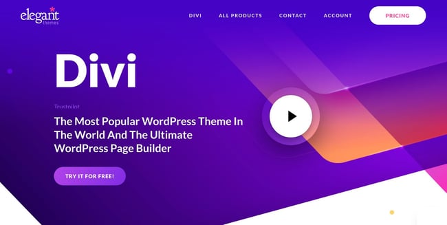 best WordPress page builders; Divi