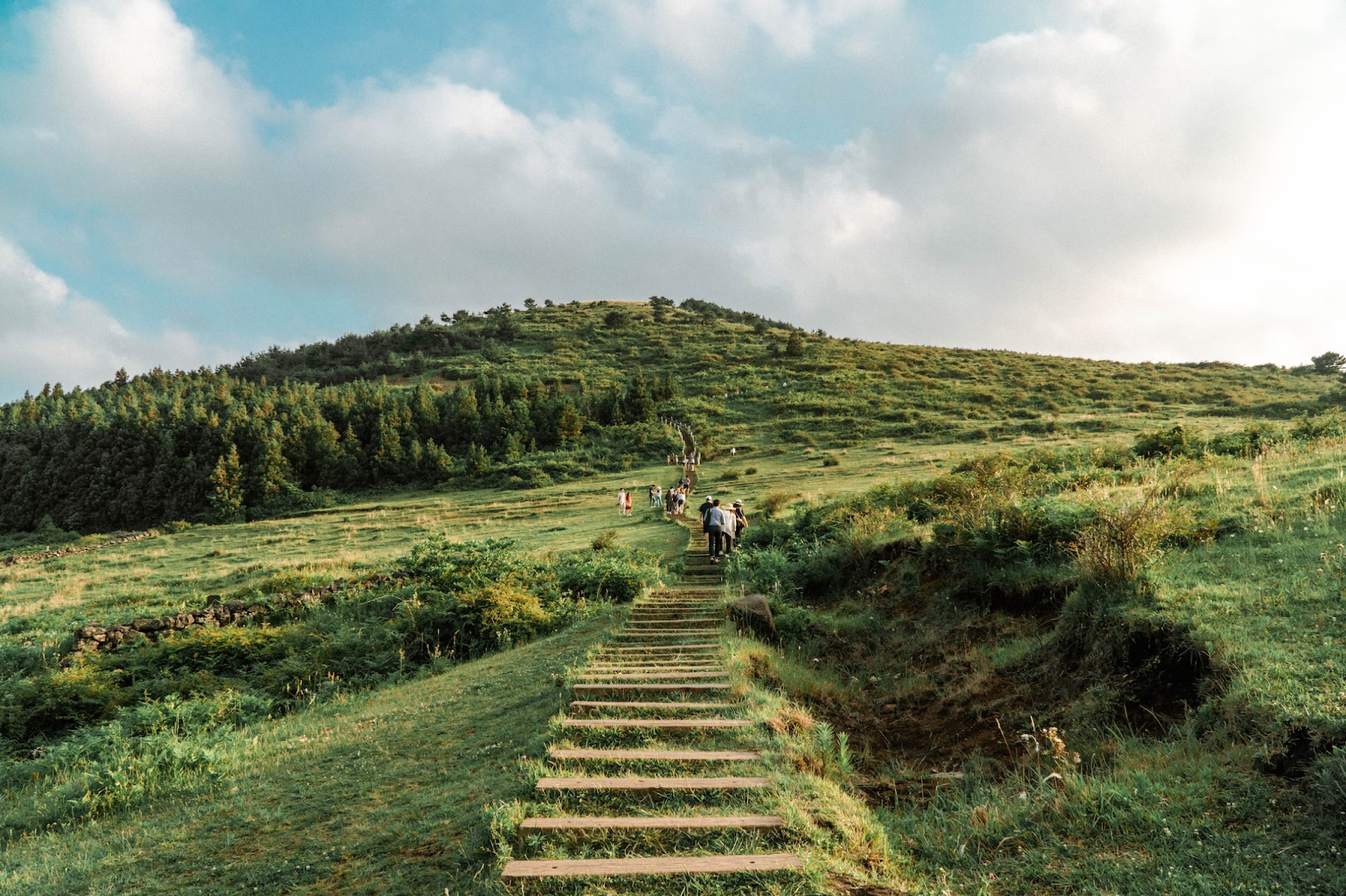 Jeju Island