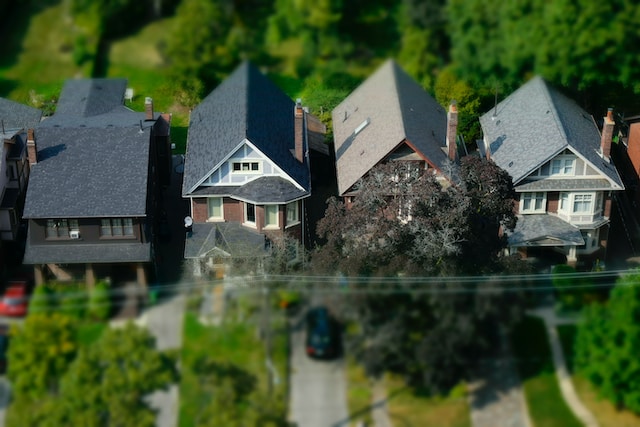 moss removal from roofs