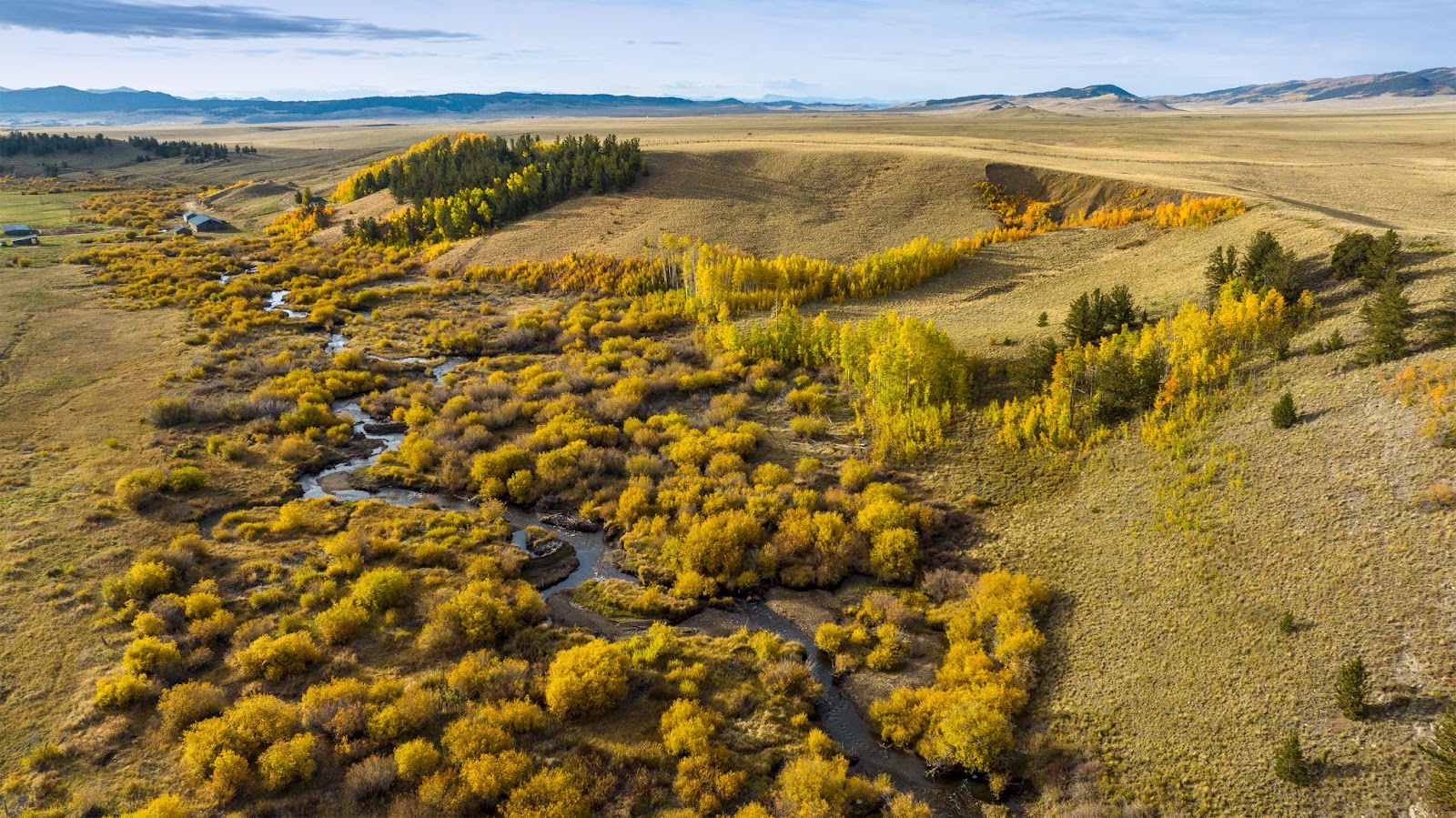 An airal photo of Tarryall Creek weaving through a valley.