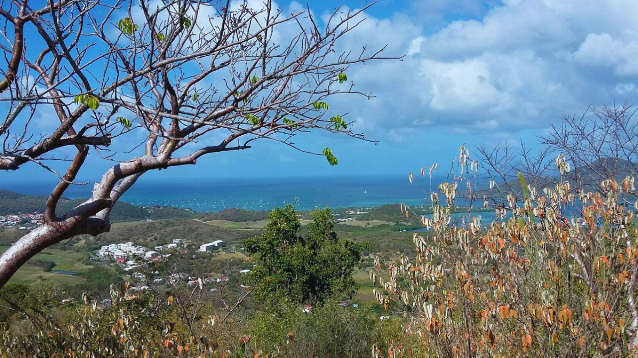 randonnée martinique ou guadeloupe