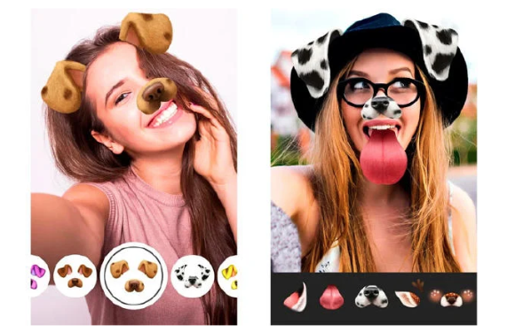 Social Media Filters: Instant Animalization Fun