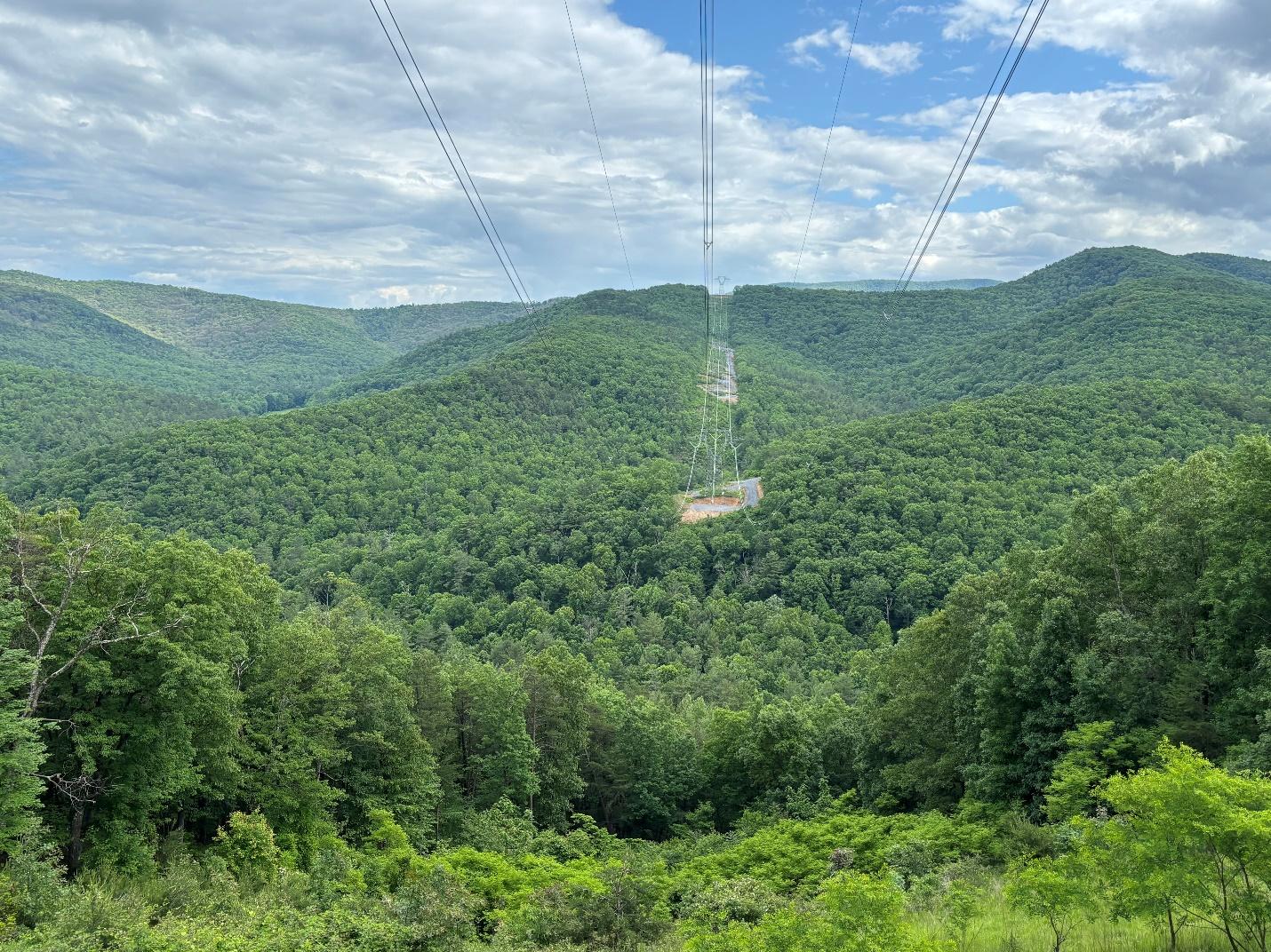 A cable car in the middle of a forest

Description automatically generated
