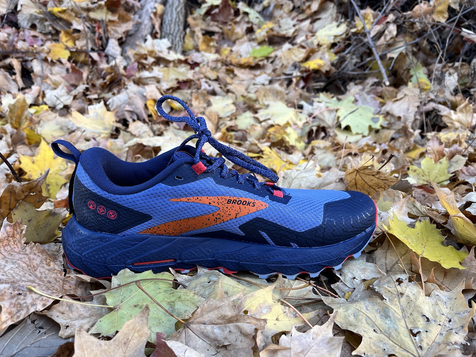 Brooks Cascadia 17 GTX Trail Shoes