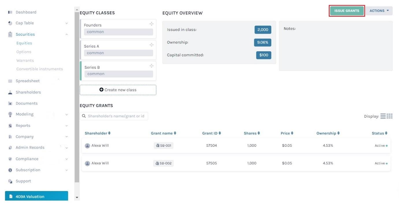 equity grants 