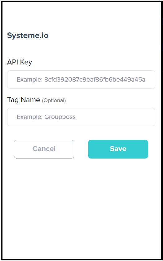Step one: API Key and Tag Name of systeme.io requirement.