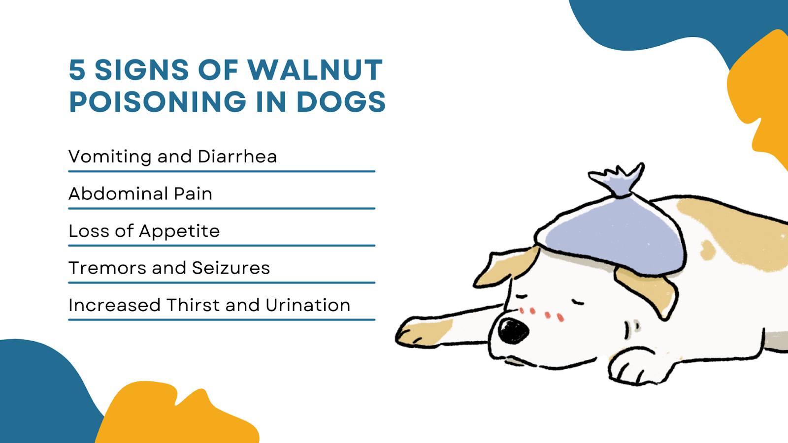 5 signs of walnut poisoning in dogs