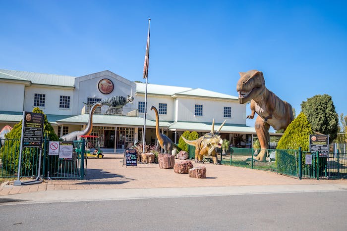 Activities | The National Dinosaur Museum
