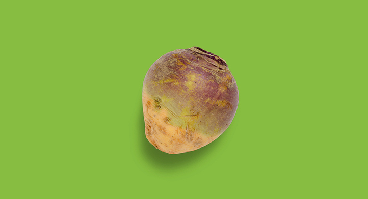 a rutabaga on flat background