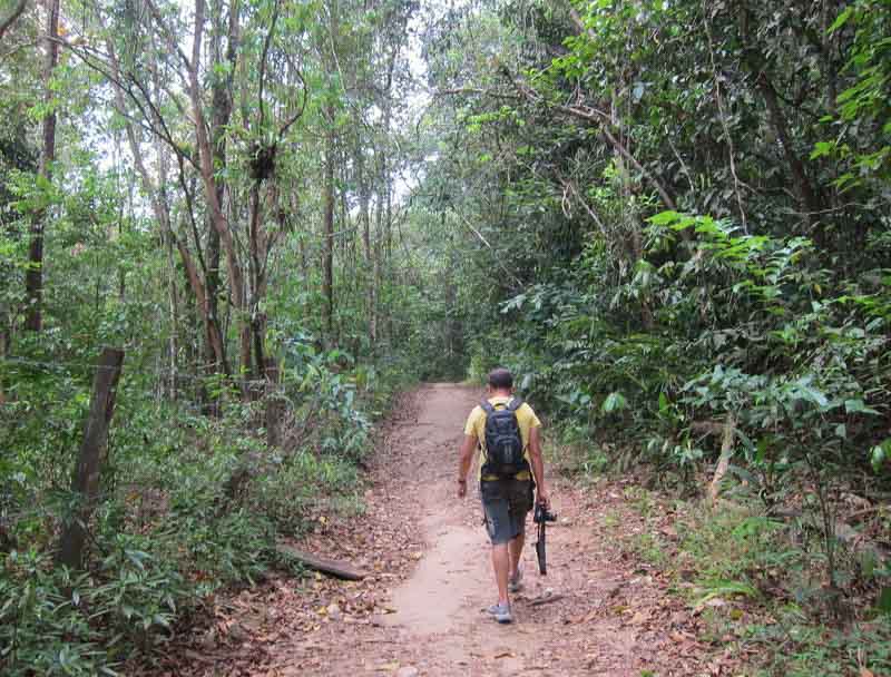 Vườn quốc gia Khao Sok 