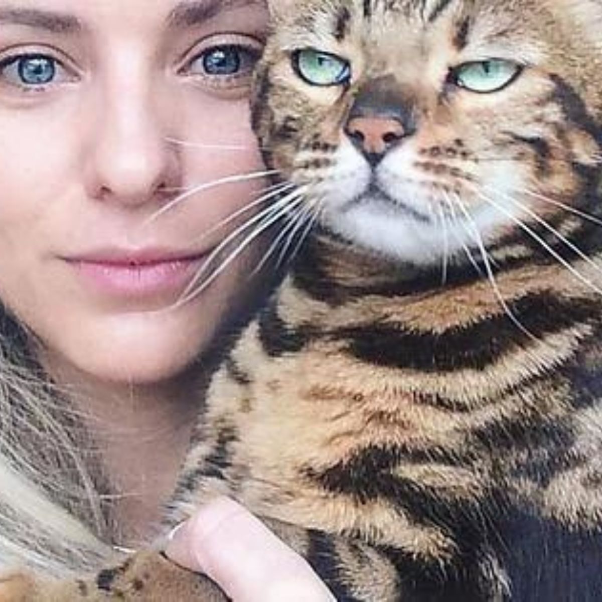 young woman with beautiful cat posing