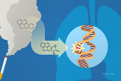 How Do Cigarettes Cause Cancer? | Memorial Sloan Kettering Cancer Center