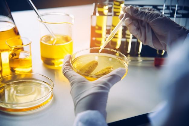 Photo equipment and science experiments oil pouring scientist with test tube yellow making research in laboratory.