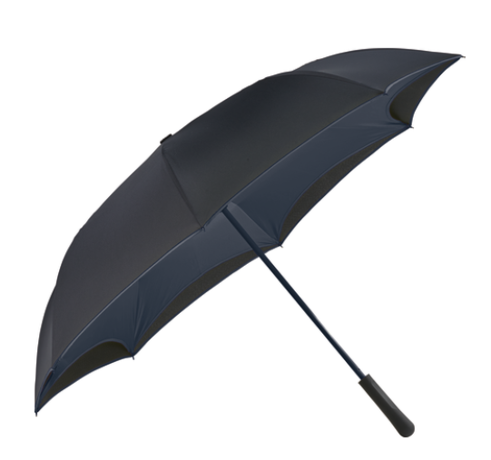 Screenshot of a black umbrella.