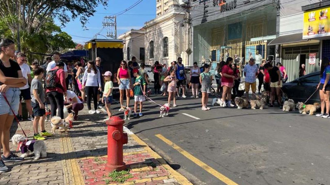 Vídeo divulgação: Pedreira SP