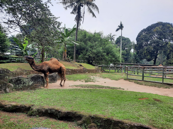 10 Tempat Wisata Murah Di Jakarta Banyak Yang Gratis