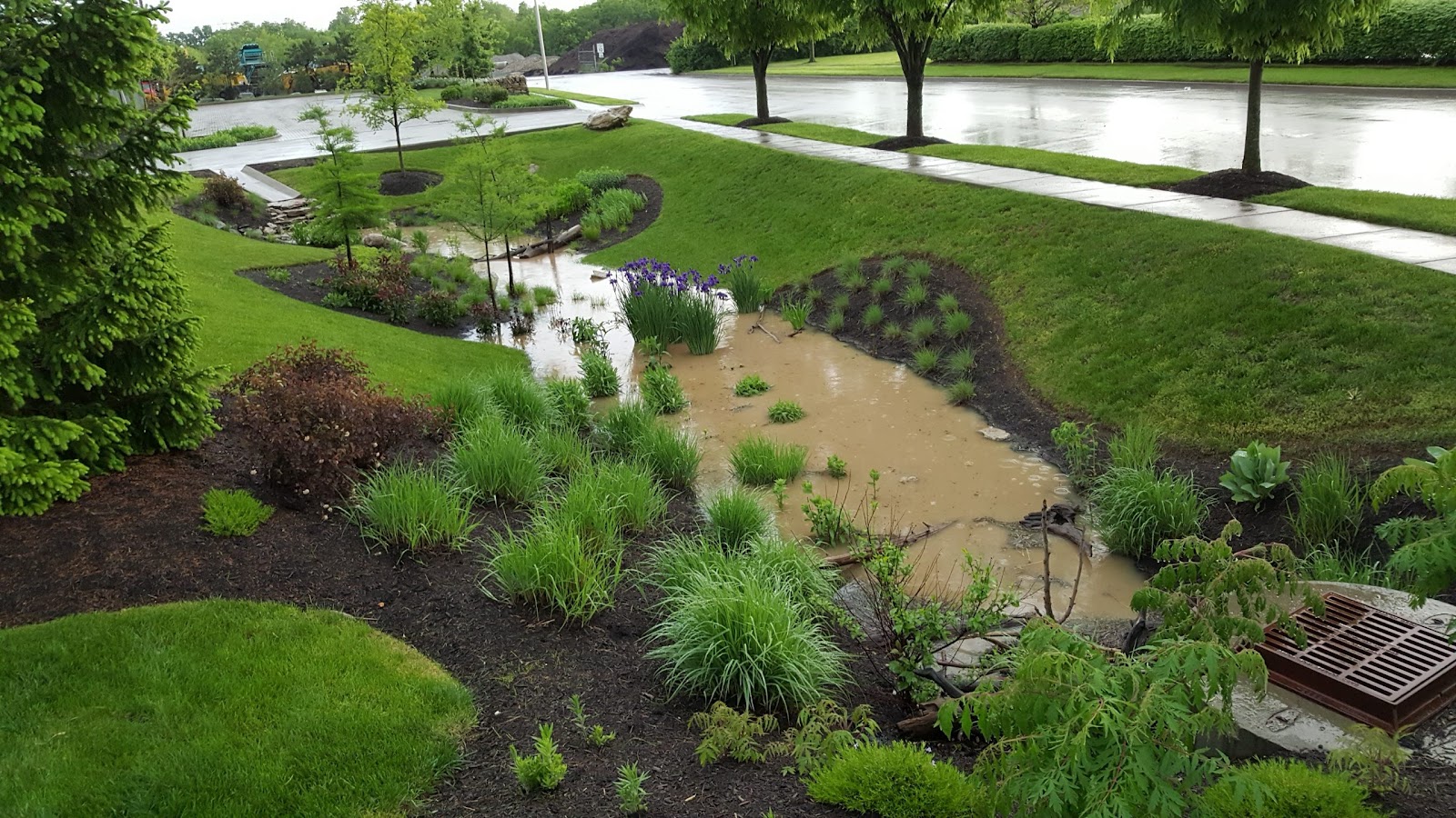 Effective Stormwater Management: Installing Bioswales - The Edge from the  National Association of Landscape Professionals