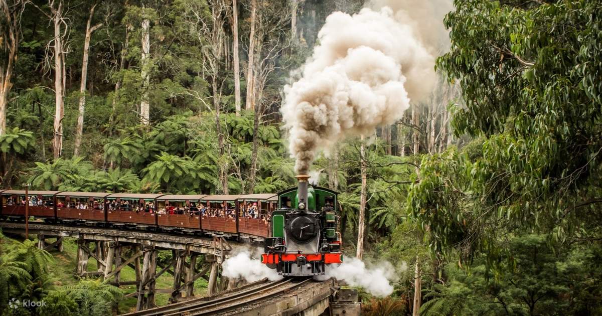 Tàu Hơi Nước Puffing Billy, Melbourne - Khám phá vẻ đẹp toàn cảnh nước Úc