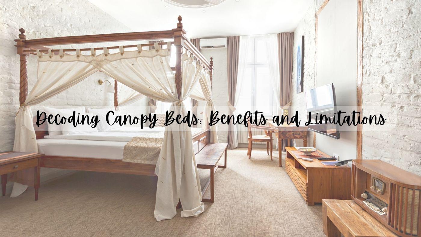 Modern Canopy Beds