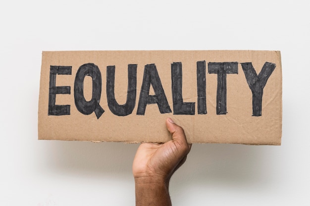 Equality Echo Civil Beats
