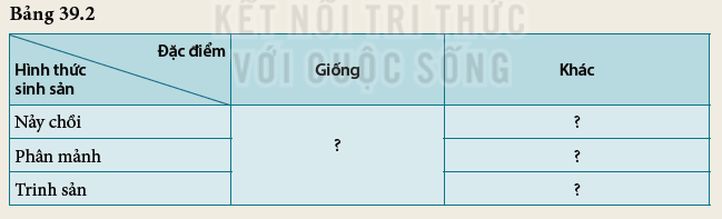 Khoa học tự nhiên 7 Bài 39: Sinh sản vô tính ở sinh vật | KHTN 7 Kết nối tri thức (ảnh 7)