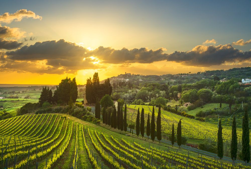 Enjoy the beautiful greens in Italy