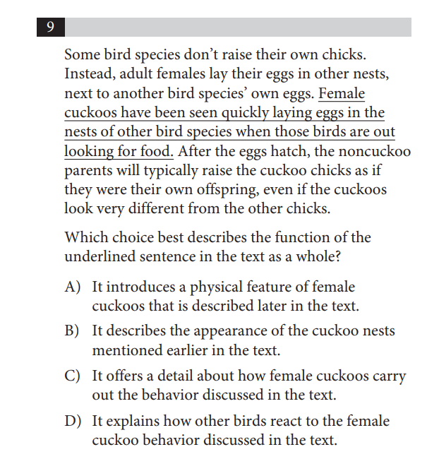 what type of essay is on the sat