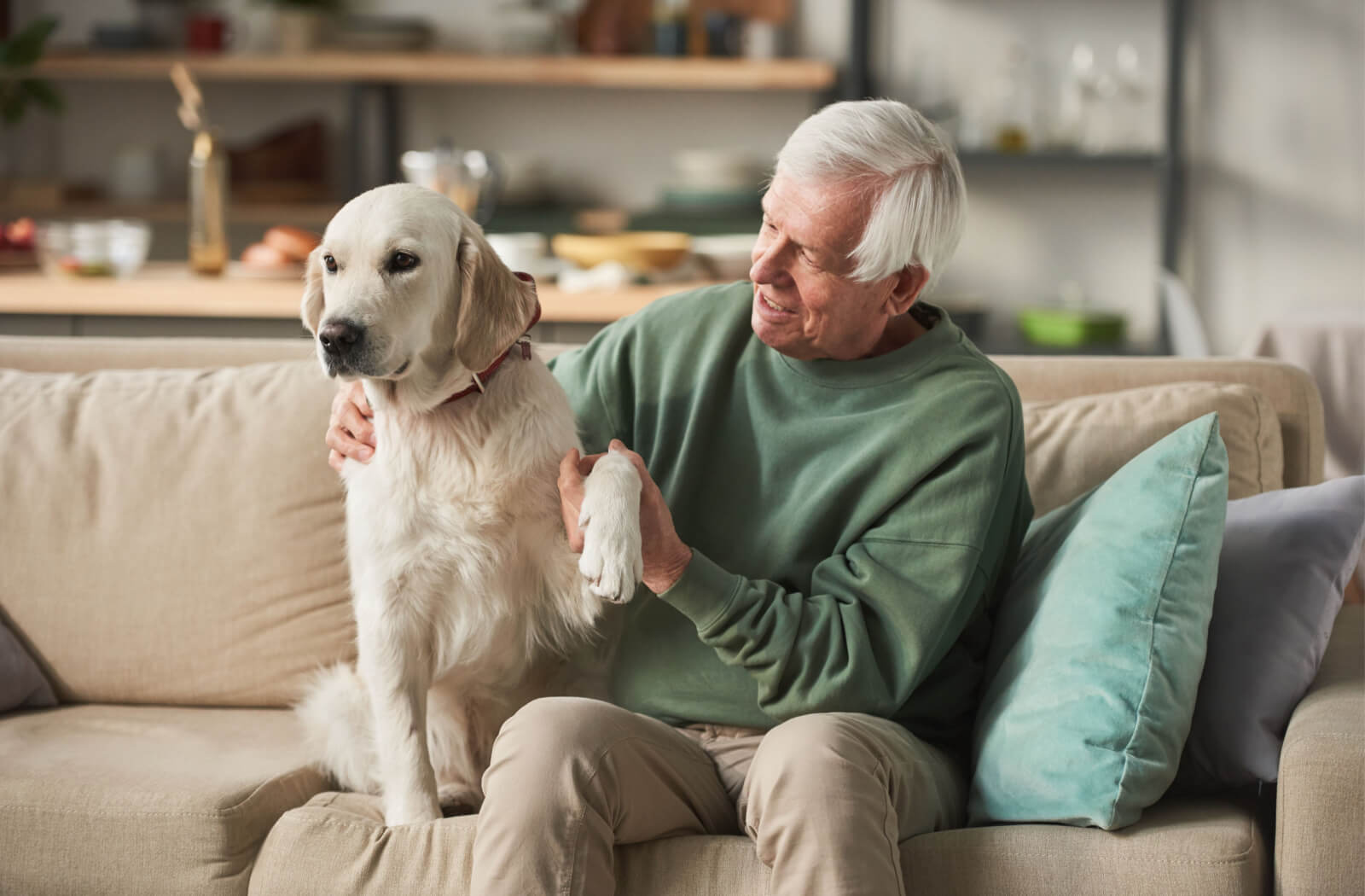 An older adult man sitting on a couch playing with his dog