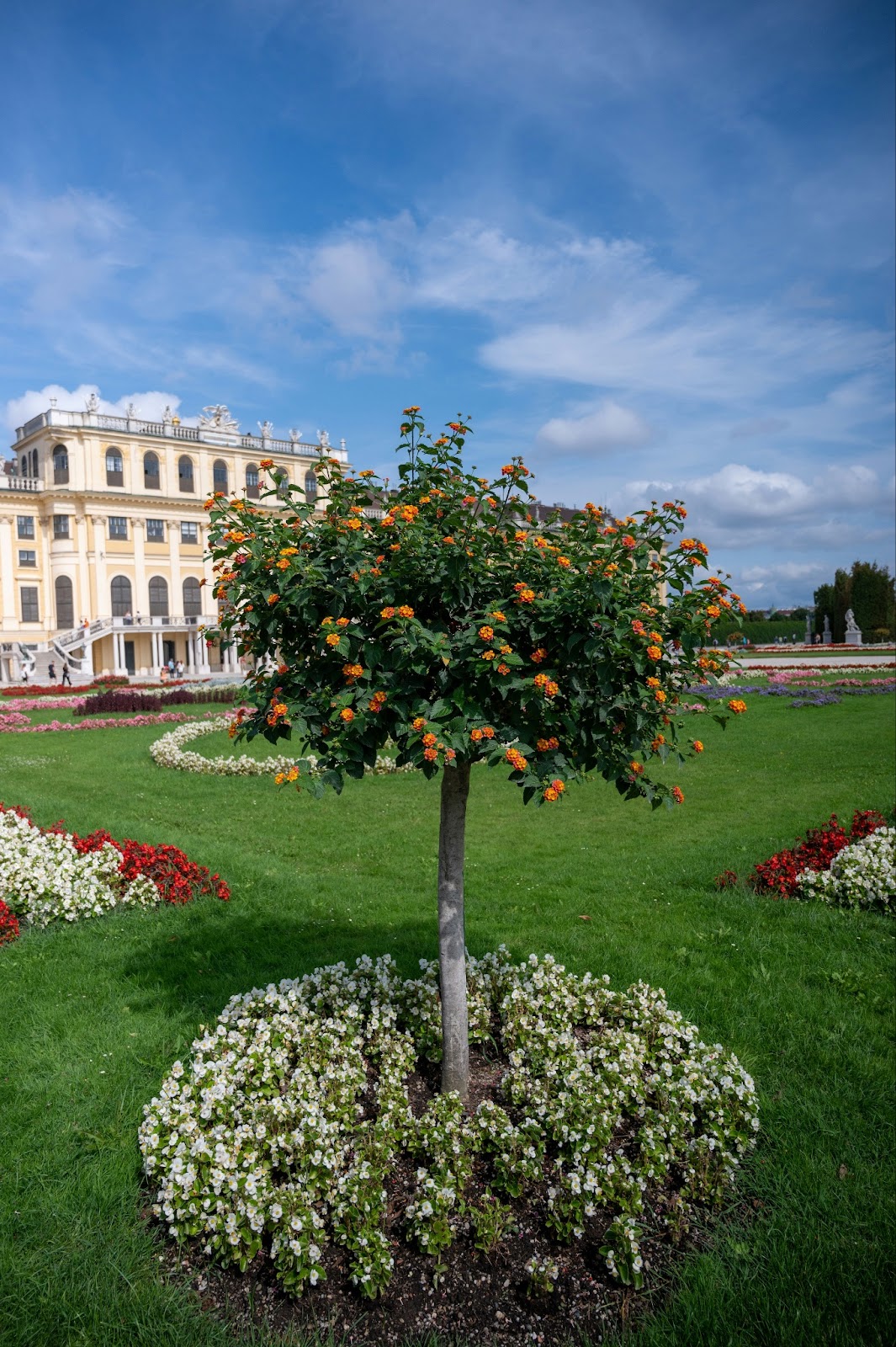 Schönbrunn Palace's majestic façade against a clear blue sky.