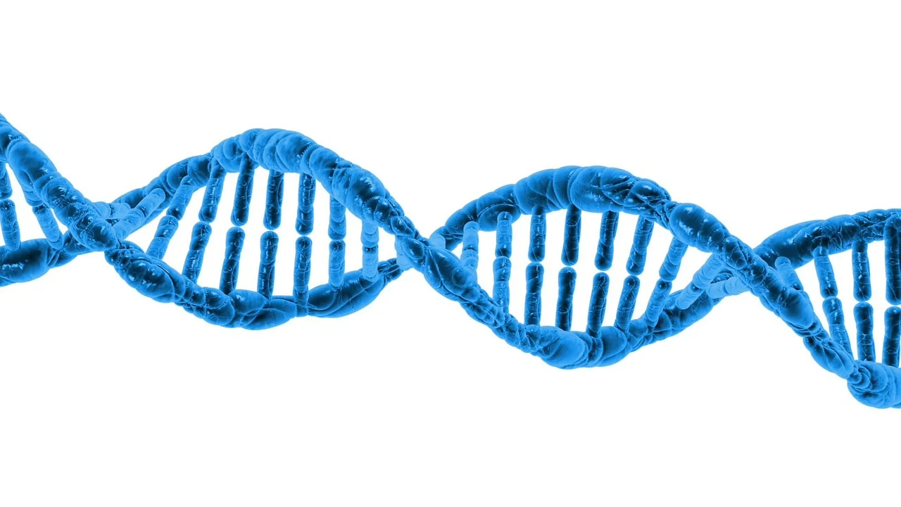 Blue DNA Helix on White Background. Gene therapy is performed onDNA.