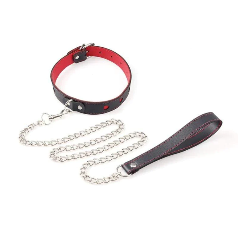 a leather collar with leash