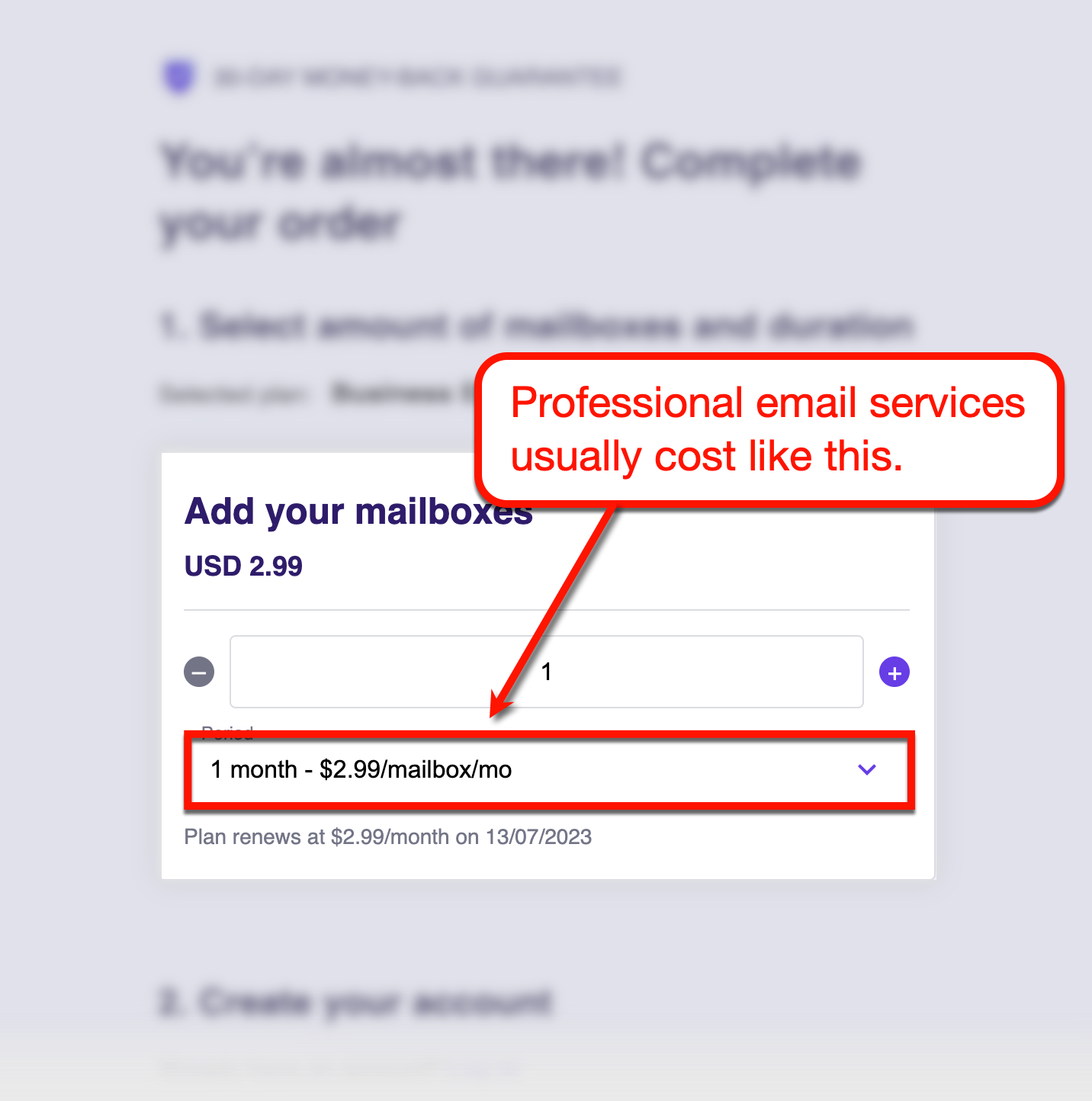 Professional email service price