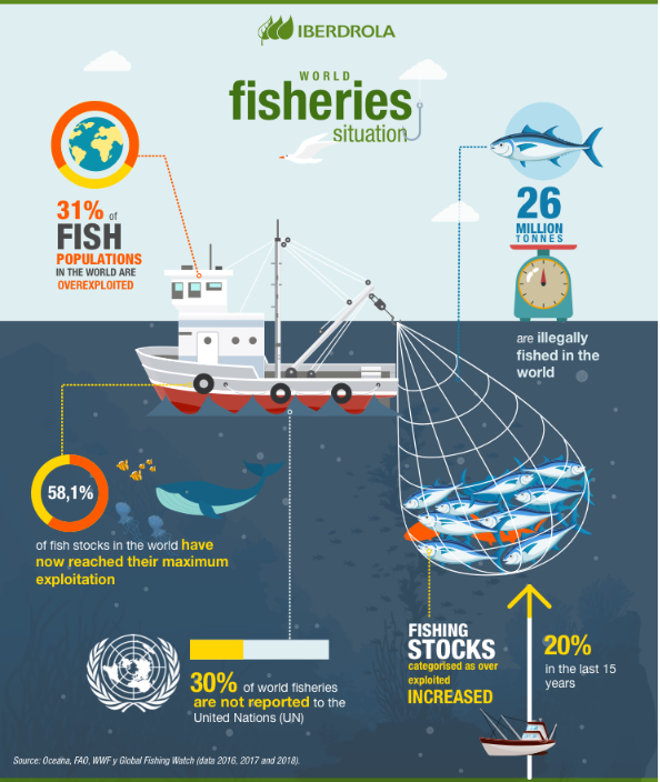 SUSTAINABLE FISHING KEY TO PROTECT THE SPECIES